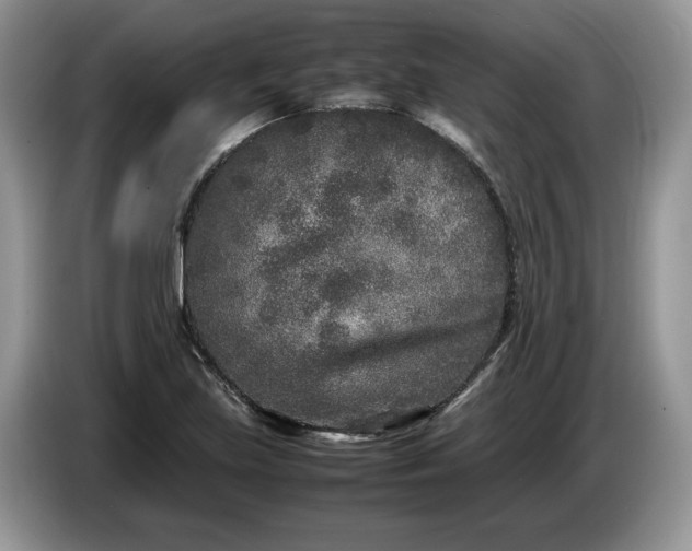 X0000086281219200704122041