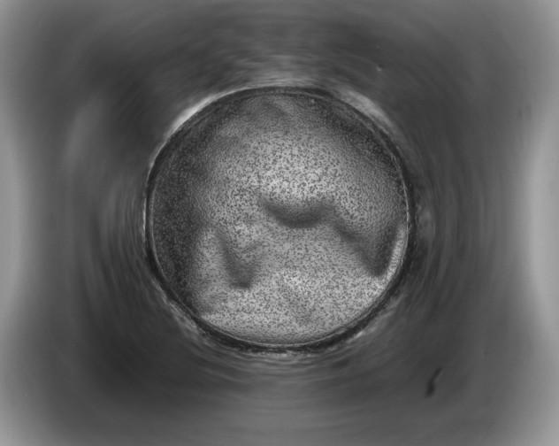 X0000086281220200704122041