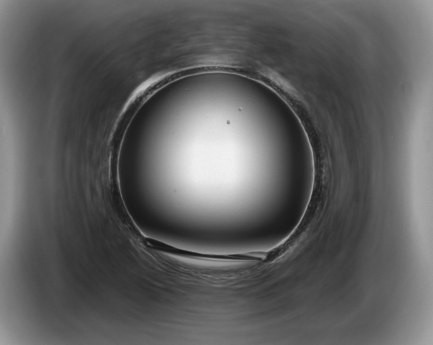 X0000086281222200704122041