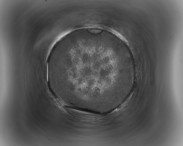 X0000086281223200704122041