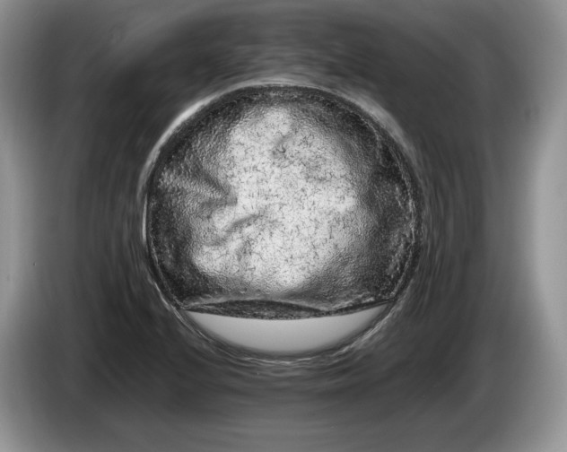 X0000086281224200704122041