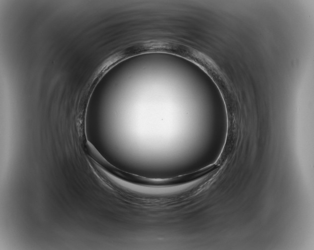 X0000086281225200704122041