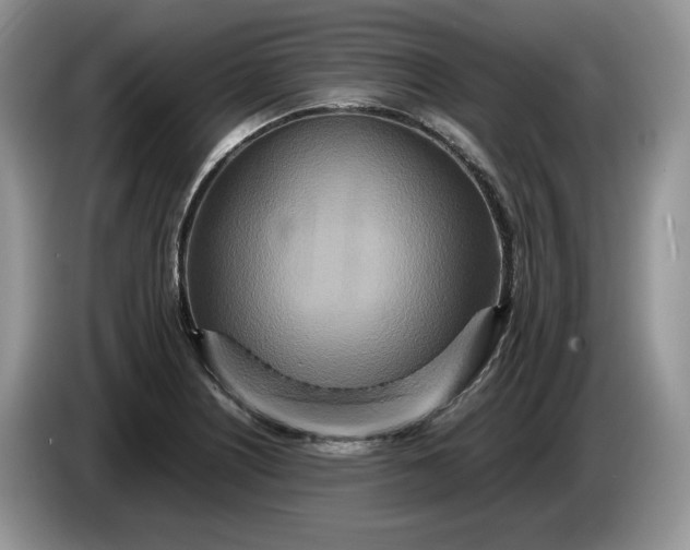 X0000086281226200704122041