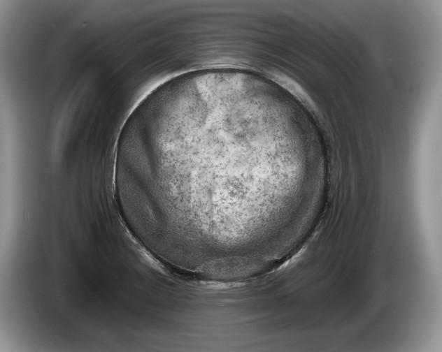 X0000086281228200704122041