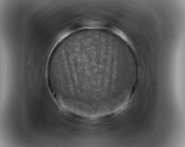 X0000086281229200704122041