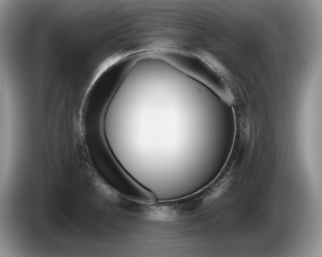 X0000086281230200704122041