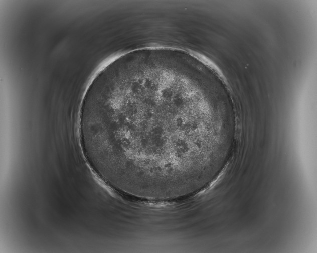 X0000086281231200704122041