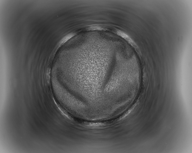 X0000086281233200704122041