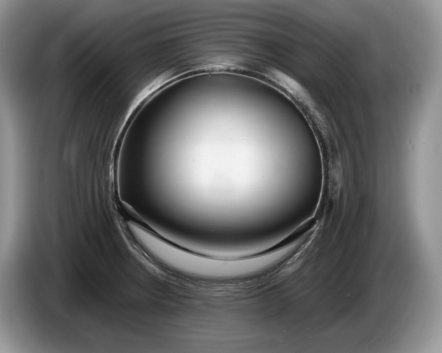 X0000086281234200704122041