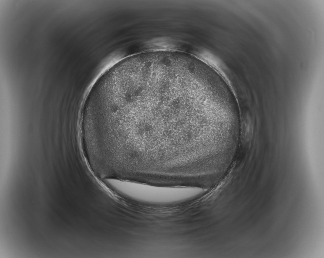 X0000086281235200704122041