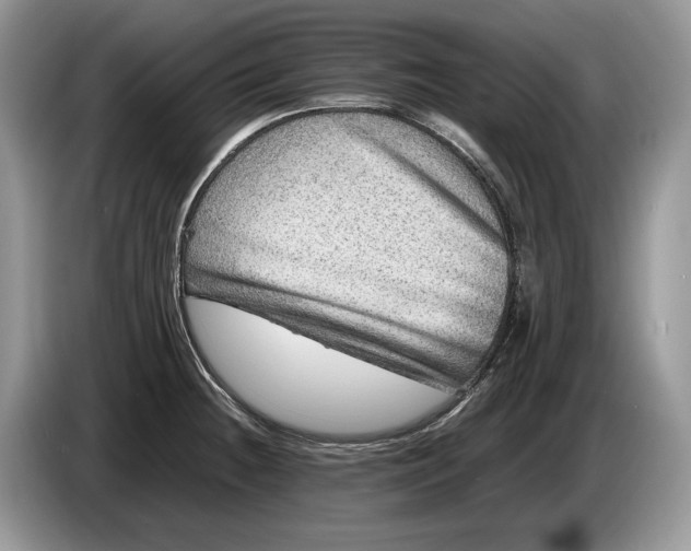 X0000086281236200704122041