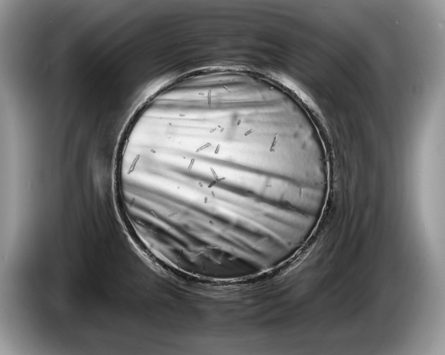 X0000086281237200704122041