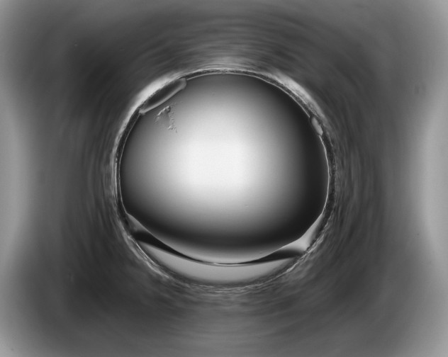 X0000086281238200704122041