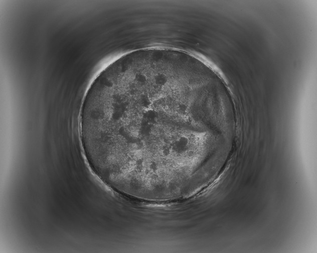 X0000086281239200704122041