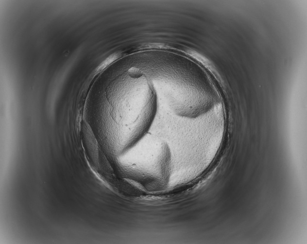 X0000086281241200704122041