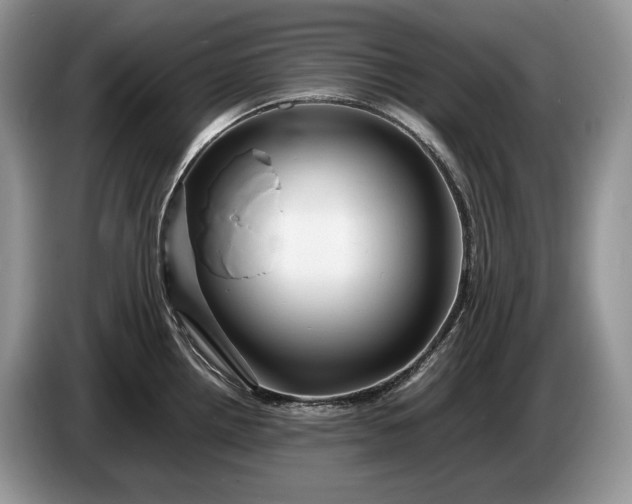 X0000086281242200704122041