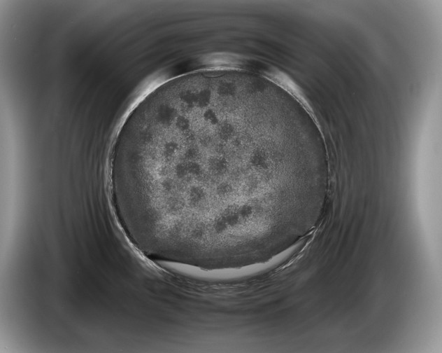 X0000086281243200704122041