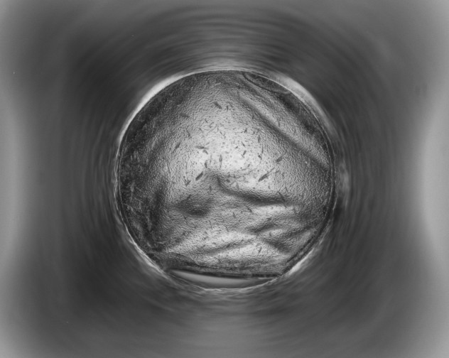 X0000086281244200704122041