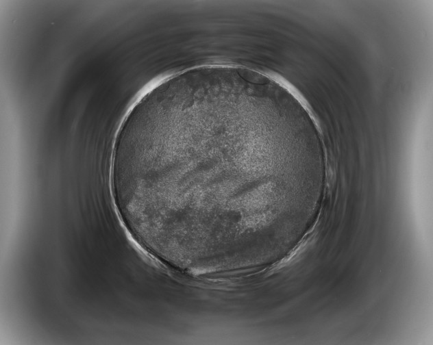 X0000086281245200704122041