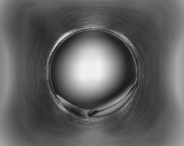 X0000086281246200704122041