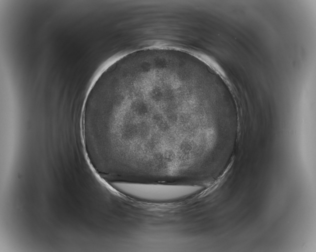 X0000086281247200704122041