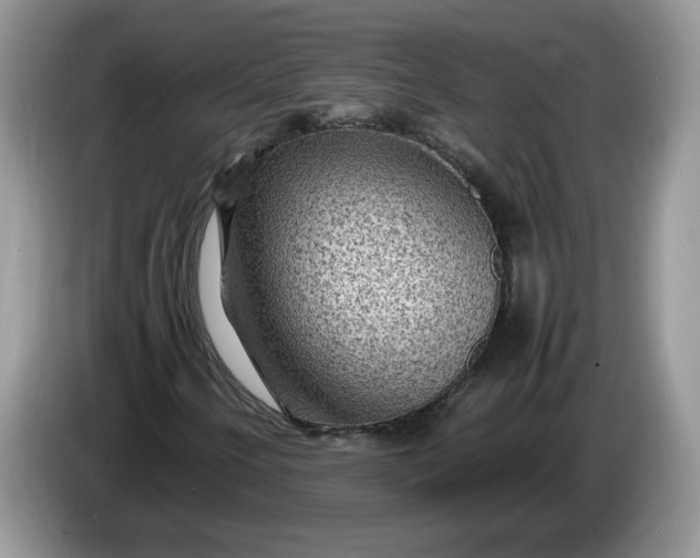 X0000086281250200704122041