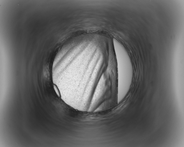 X0000086281252200704122041