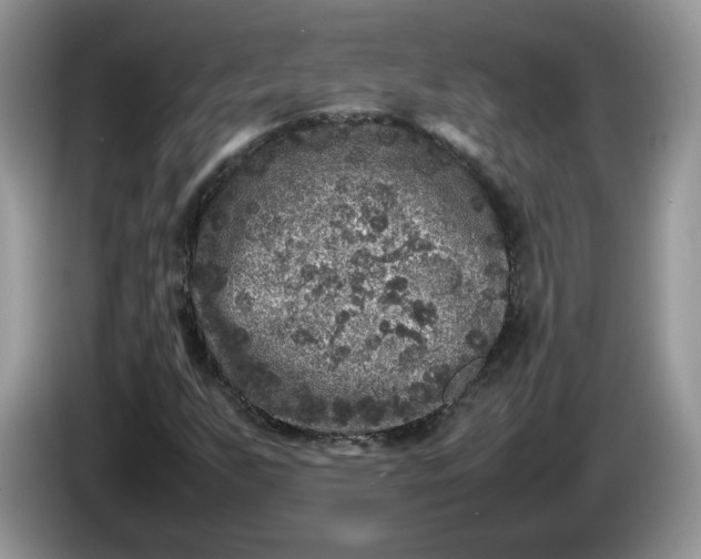 X0000086281255200704122041