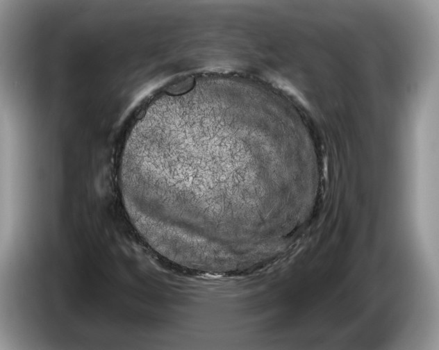 X0000086281256200704122041