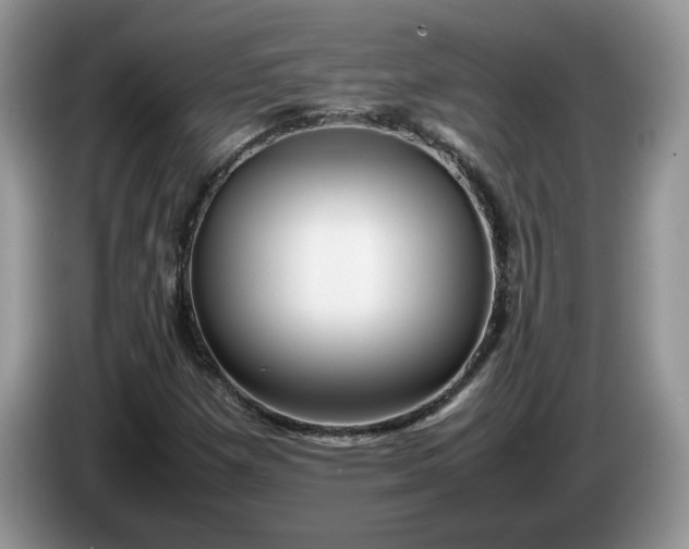 X0000086281257200704122041