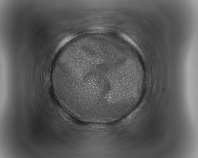 X0000086281259200704122041