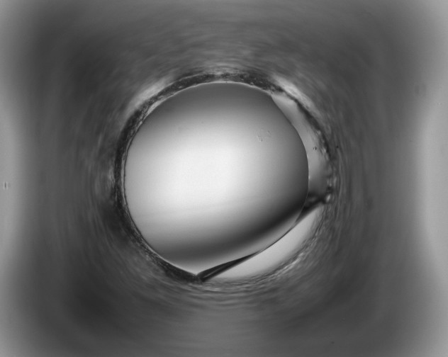 X0000086281261200704122041