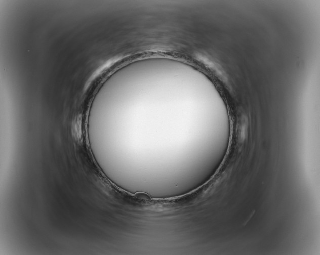 X0000086281262200704122041