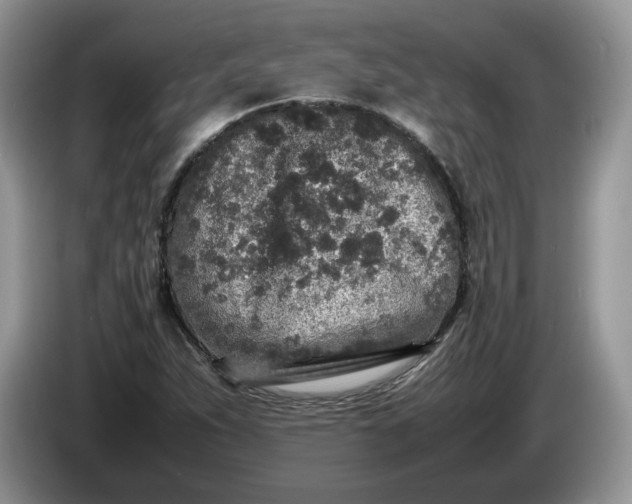 X0000086281263200704122041