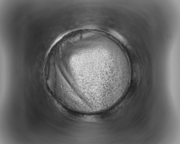 X0000086281264200704122041