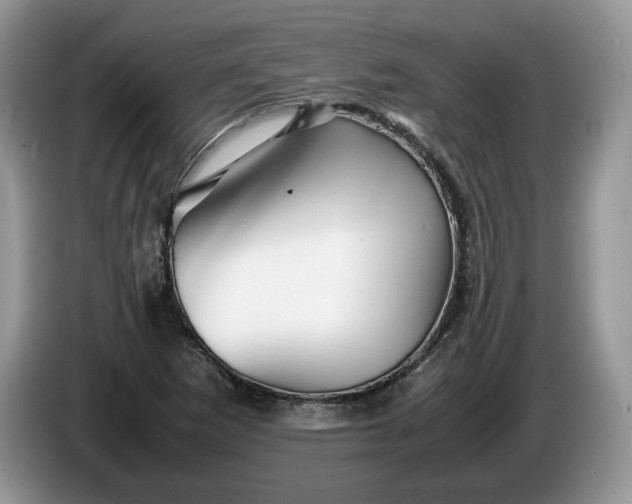 X0000086281265200704122041