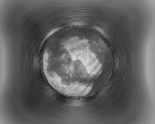 X0000086281266200704122041