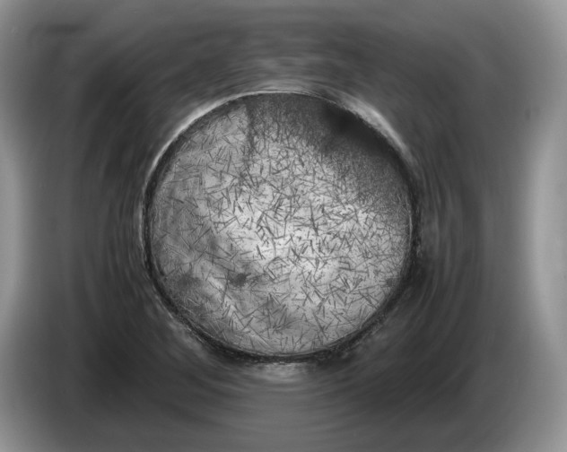 X0000086281268200704122041