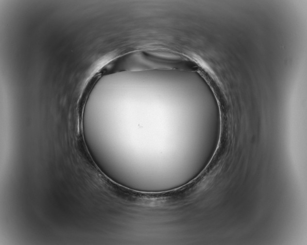 X0000086281269200704122041