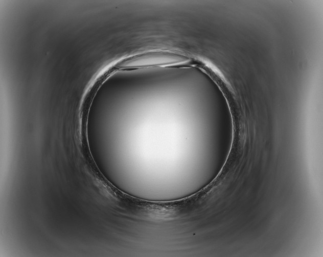 X0000086281270200704122041