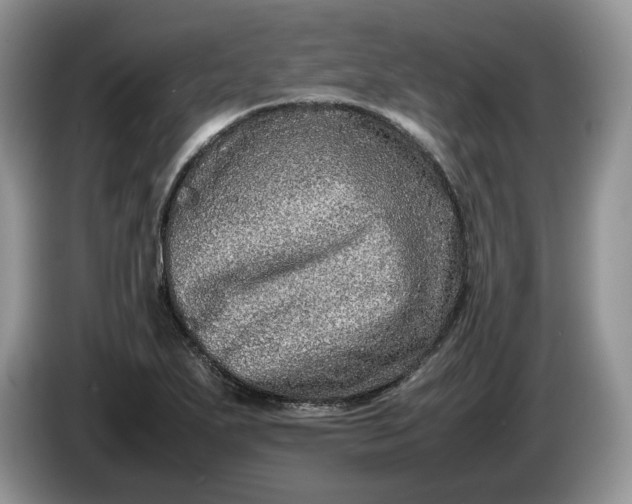 X0000086281271200704122041