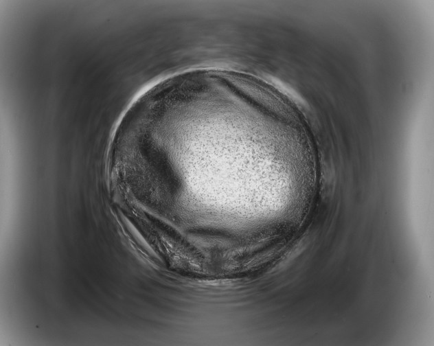 X0000086281272200704122041