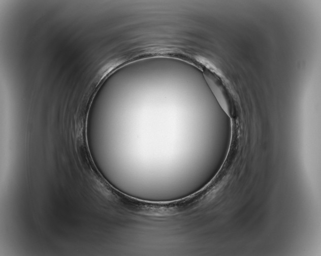 X0000086281273200704122041