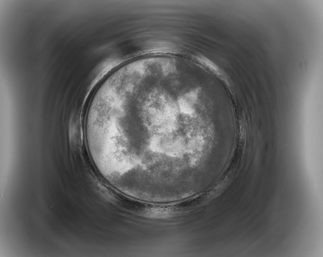 X0000086281274200704122041