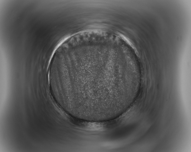 X0000086281275200704122041