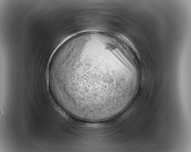 X0000086281276200704122041