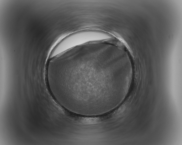 X0000086281277200704122041