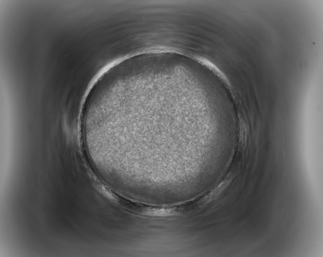 X0000086281278200704122041