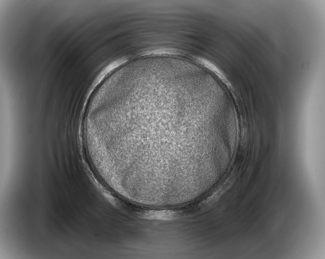 X0000086281282200704122041