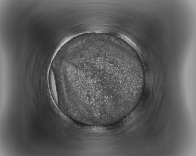 X0000086281283200704122041